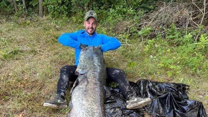 Élete legnagyobb küzdelmét vívta a csegei ősharcsa, miközben a Tisza partján órákon át próbálták újraéleszteni ezt a hatalmas vízi lényt. A drámai pillanatokat fényképek örökítették meg, amelyek bemutatják a harcot az életért és a természet csodáit.