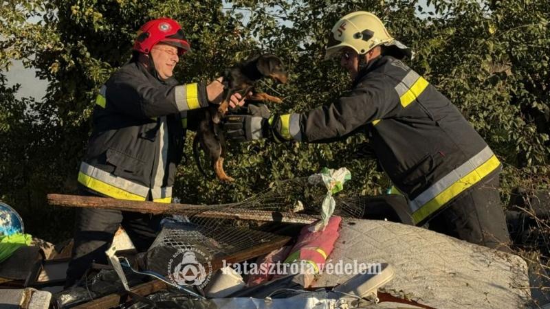 Tűzoltók hősies akciójának köszönhetően egy kutyus életét sikerült megmenteniük Rábapatyon, ahol egy lángoló melléképületben rekedt. A helyszínen készült fotók tanúsítják a bátor beavatkozást és az állat megmentéséért folytatott küzdelmet.