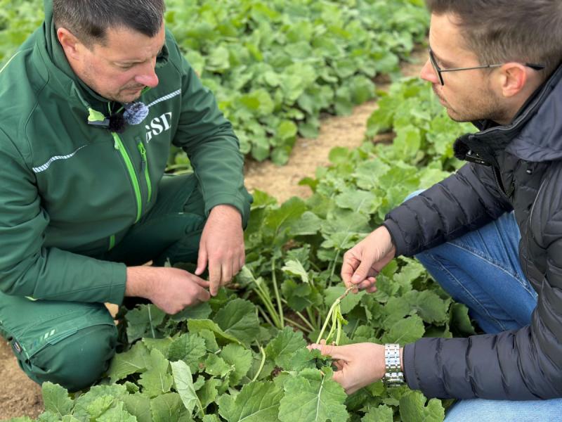 Ahol a technológia és a növények szükségletei találkoznak - így működik együtt a GSD Agrár Kft. és a Malagrow.