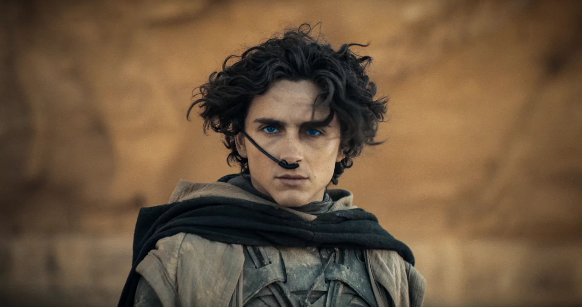 Timothée Chalamet lenyűgöző átalakulása új pletykák tárgyává vált: a Dűne folytatásáról van szó - KÉPES BESZÁMOLÓ