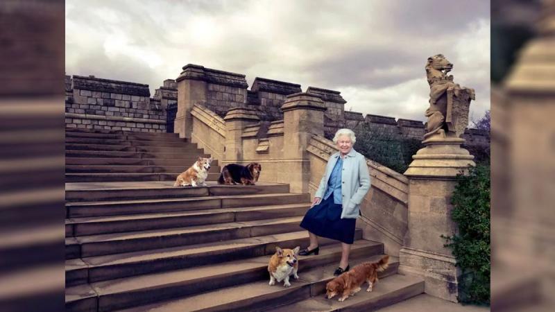 A Buckingham-palota közleményt adott ki, amelyben világossá teszik, mi történik II. Erzsébet corgijaival András herceg és Sarah Ferguson kilakoltatása után. A palota tájékoztatása szerint a szeretett kis kedvencek sorsa most előtérbe került, és a királyi 